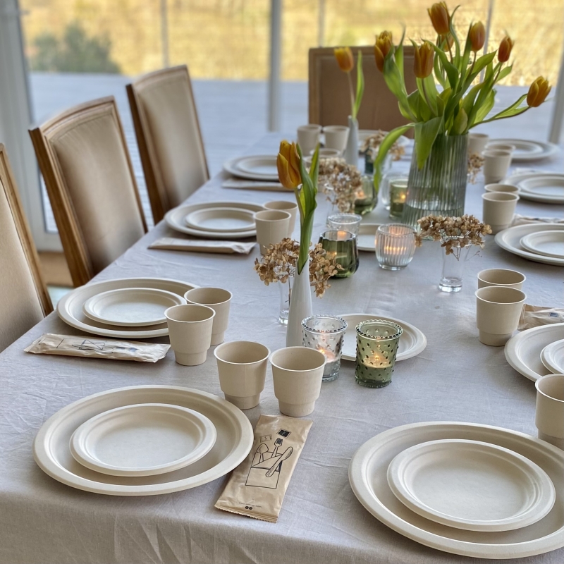 Einwegteller aus Bagasse für Feste, Events und Gastroprofis