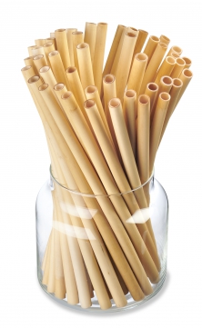 Single use reed straws